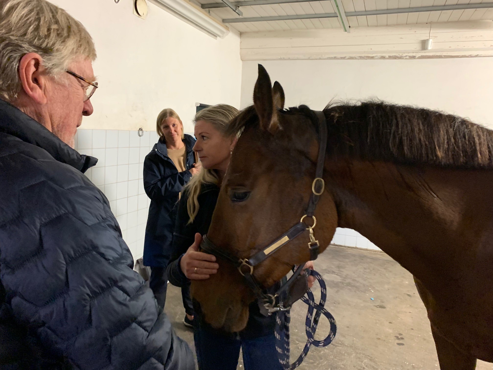 Lasse Holmstr&ouml;m (V), Katarina Borgstr&ouml;m, tillv&auml;xtchef Esl&ouml;vs kommun tillsammans med personal och h&auml;st fr&aring;n L&ouml;ber&ouml;ds h&auml;stklinik.